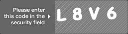 captcha code for visual authentication  letter L number 8 letter V number 6