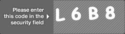 captcha code for visual authentication  letter L number 6 letter B number 8
