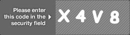 captcha code for visual authentication  letter X number 4 letter V number 8