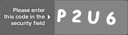 captcha code for visual authentication  letter P number 2 letter U number 6