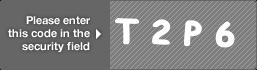 captcha code for visual authentication  letter T number 2 letter P number 6