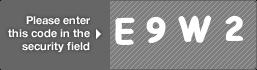 captcha code for visual authentication  letter E number 9 letter W number 2