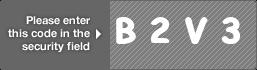 captcha code for visual authentication  letter B number 2 letter V number 3